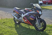 fzr600r_1995.jpg