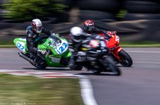 Falken 2.jpg