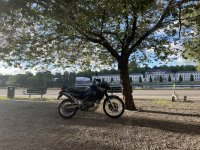 IMG_2139.jpeg