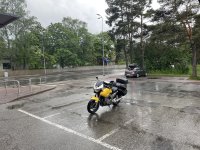 IMG_1963.jpeg