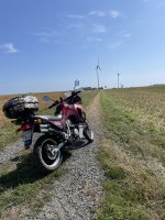 IMG_6246.jpeg