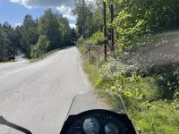 IMG_2163.jpeg