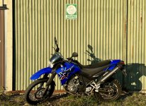 IMG_5532.jpeg