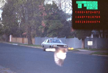 1755093024037.png