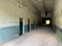 IMG_5772.jpeg