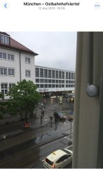 IMG_2181.jpeg