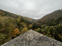 IMG_3118.jpeg