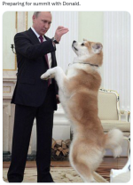 1755265674234.png