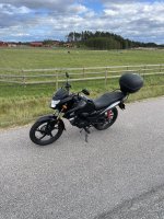IMG_0944.jpeg
