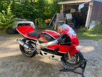 IMG_0702.jpeg