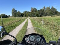 IMG_2204.jpeg