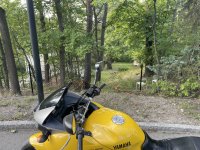 IMG_2208.jpeg