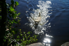 da540e38-b671-437b-b13d-178efd46a73e.png