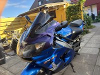 IMG_7638.jpeg