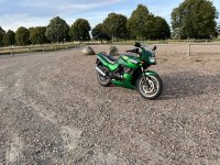 IMG_3878.jpeg