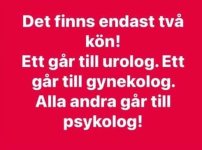 FB_IMG_1756842900843~2.jpg