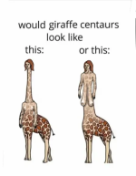 1756975129035.png