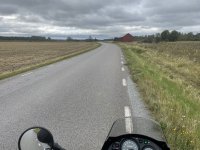 IMG_2249.jpeg