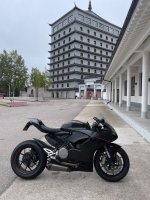 IMG_2667.jpeg