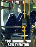 1757434356290.png