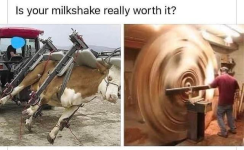 1758064974802.png