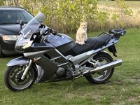 IMG_3028.jpeg