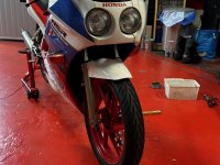 IMG_9549.jpeg