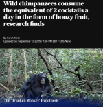 1758440061409.png