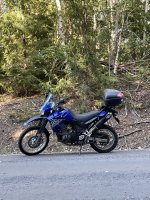IMG_6353.jpeg