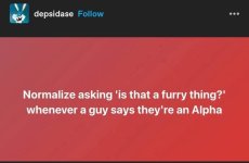 1758702609230.jpeg