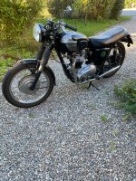 IMG_6356.jpeg