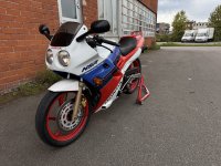IMG_9595.jpeg