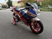 IMG_9594.jpeg