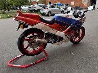 IMG_9593.jpeg