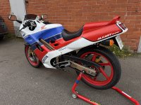 IMG_9592.jpeg