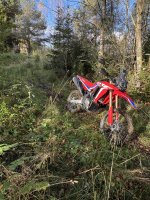 IMG_5919.jpeg