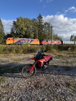 IMG_5921.jpeg