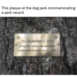 1759499539498.png
