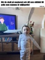 IMG_6442.jpeg