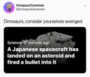 1759601739807.png