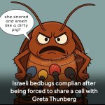 FB_IMG_1759871329566.jpg