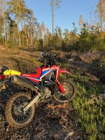 IMG_5978.jpeg