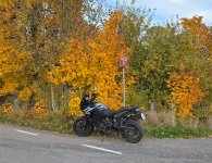 20251011_145706(1).jpg