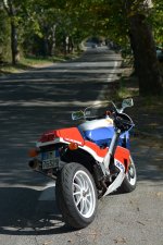 DSC_6556_s.JPG