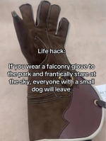1760340518578.png