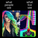1760716664242.png