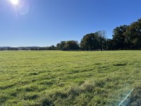 IMG_3961.jpeg