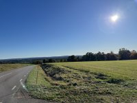 IMG_3964.jpeg