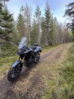 IMG_6274.jpeg