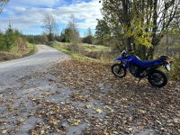 IMG_3097.jpeg